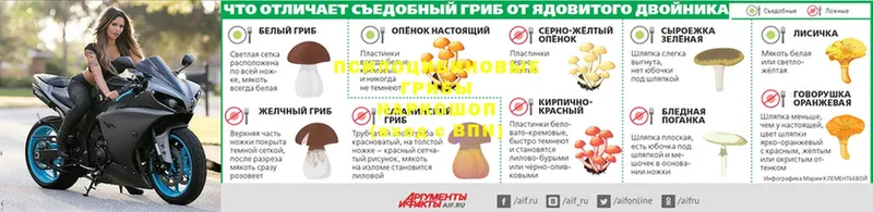 Галлюциногенные грибы ЛСД  где найти наркотики  Куйбышев 